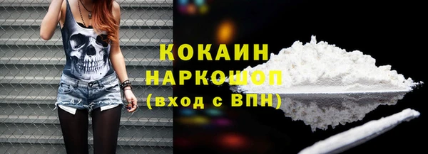 индика Баксан