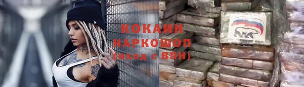 индика Баксан