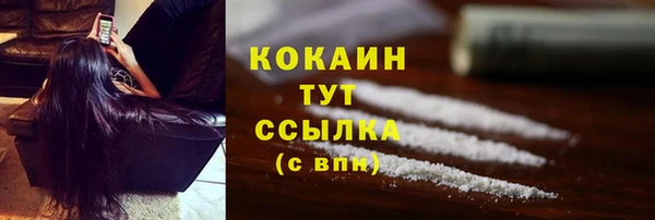 индика Баксан
