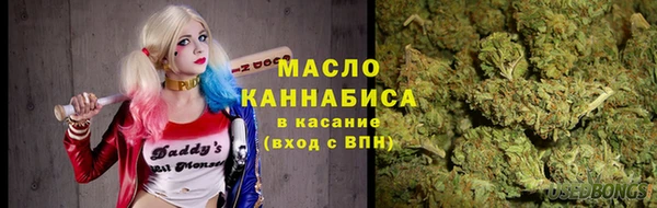 индика Баксан