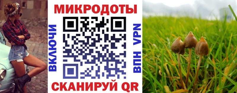 Псилоцибиновые грибы мухоморы  Купить закладки  Валдай 