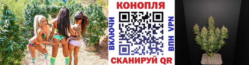 МАРИХУАНА семена  Купить где  Валдай 